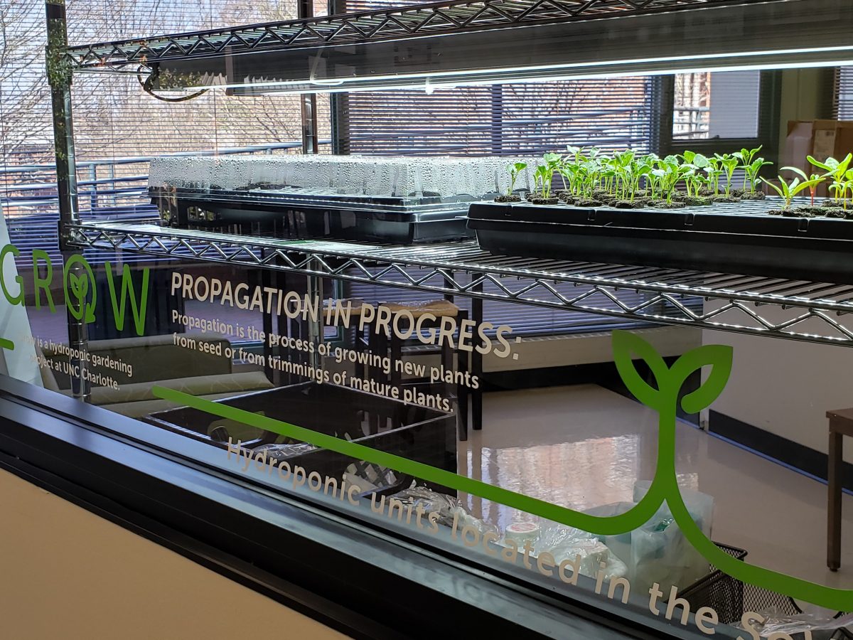 Seedlings sprouting on shelves under LED lights in Dining Services Office