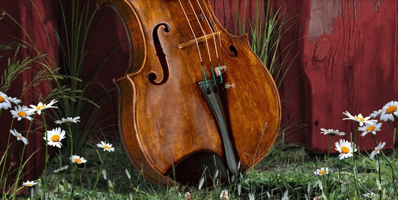 photo of a violin leaning against a red board fence with daisies on either side