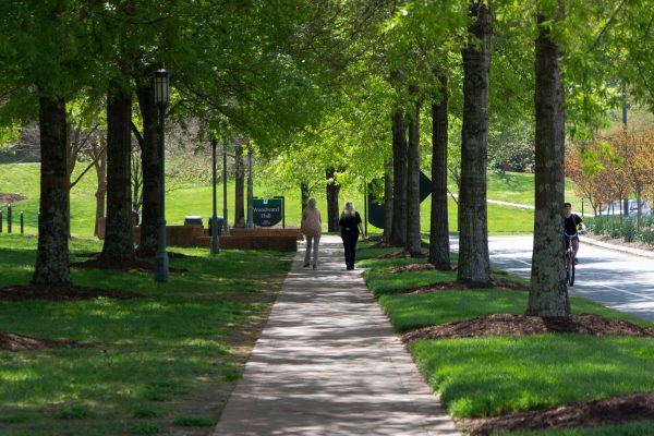 UNC Charlotte campus green scenery