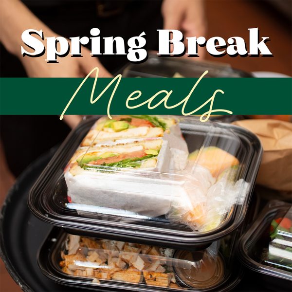 Sandwich in a container with text that reads "spring break meals".